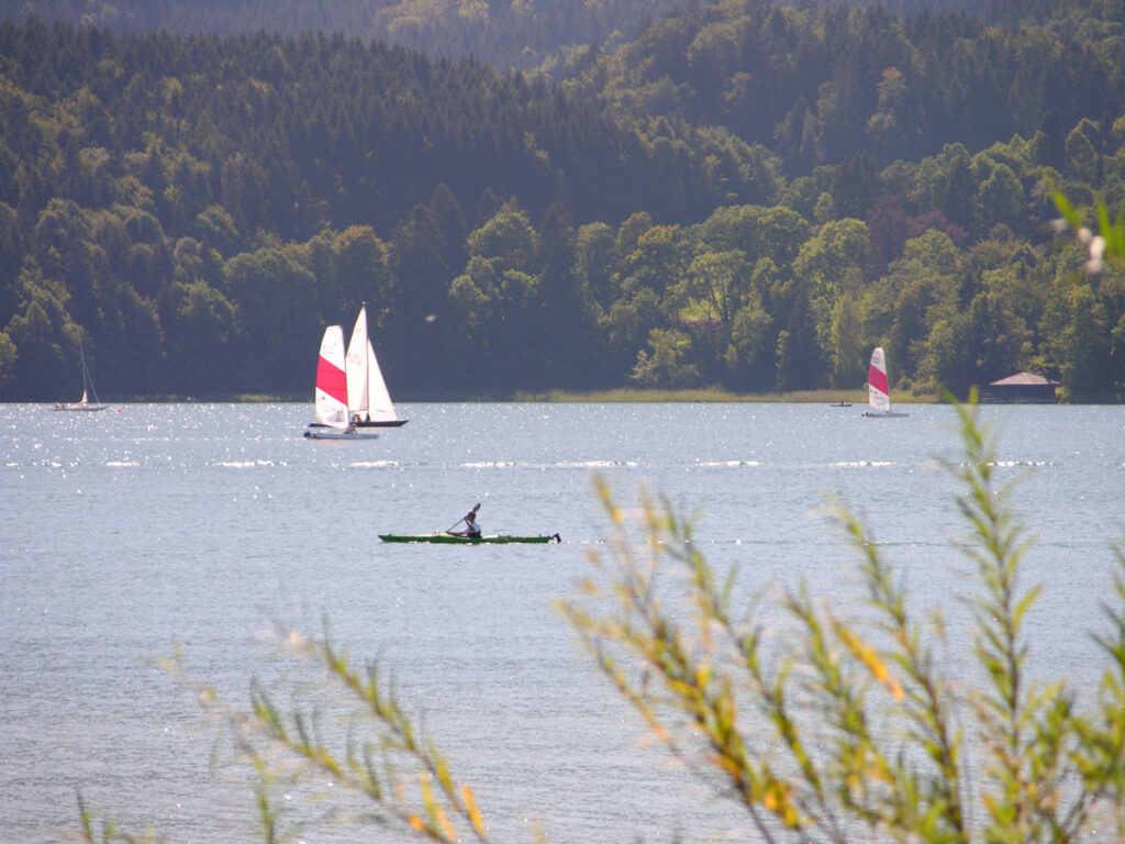 Segelboote und Wassersportler auf dem sommerlichen Tegernsee